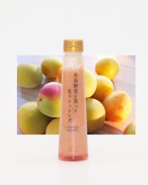 糸島野菜を食べる生ドレッシング(梅)